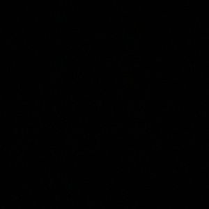 Meet your Posher, Jack